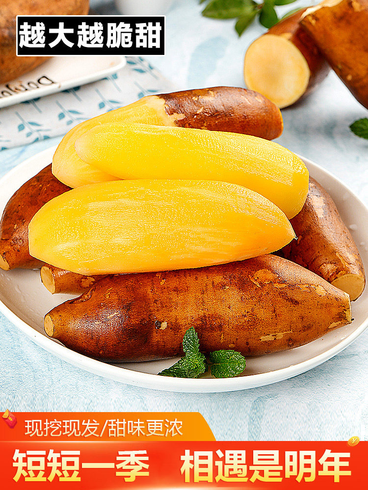 云南天山雪莲新鲜10斤红心现挖雪连水果当季整箱雪莲果