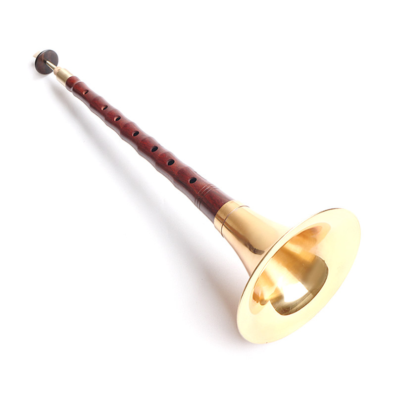 唢呐新艺乐器全套初学者成人专业演奏型檀木民间唢呐