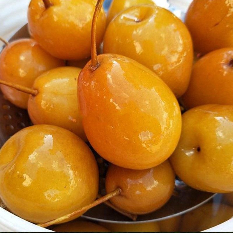 云南特产会泽甜泡冲沟山泉水甘草腌梨大黄黄梨手机保护套