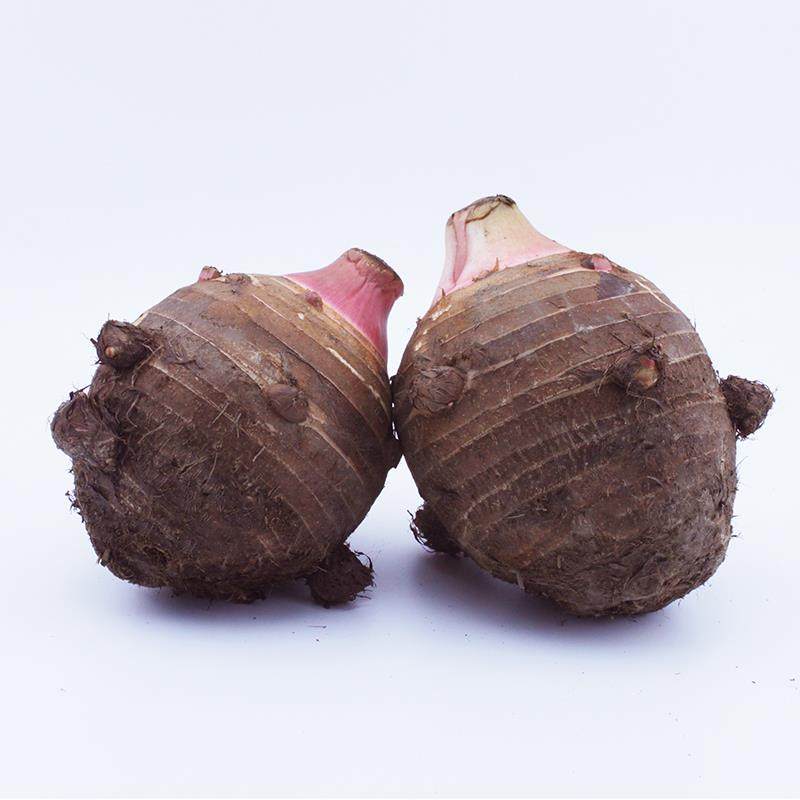 浙江特产奉化大红芋艿头新鲜软糯粉现农家正宗手机保护套