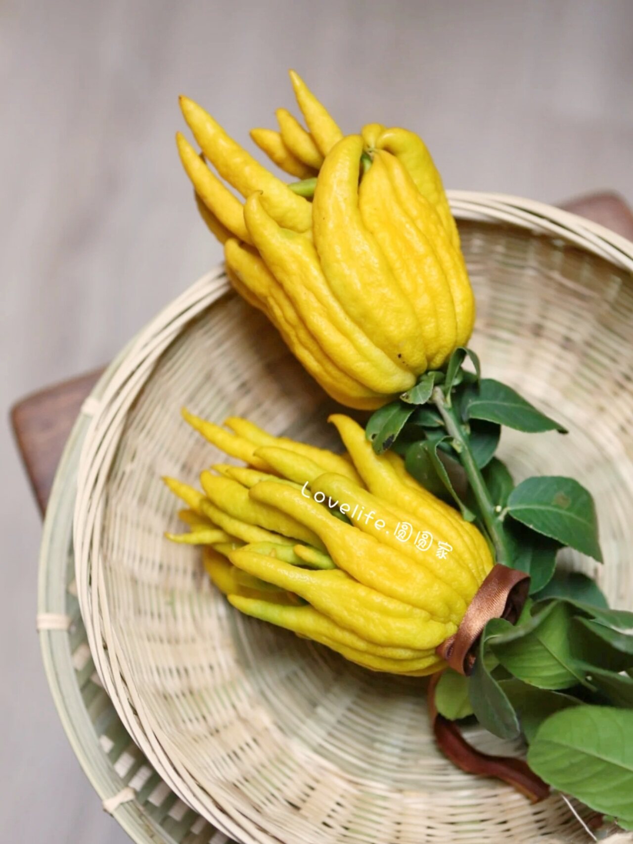 佛手香橼鲜果新鲜果柑供金华金佛手带枝花瓶插花手机保护套