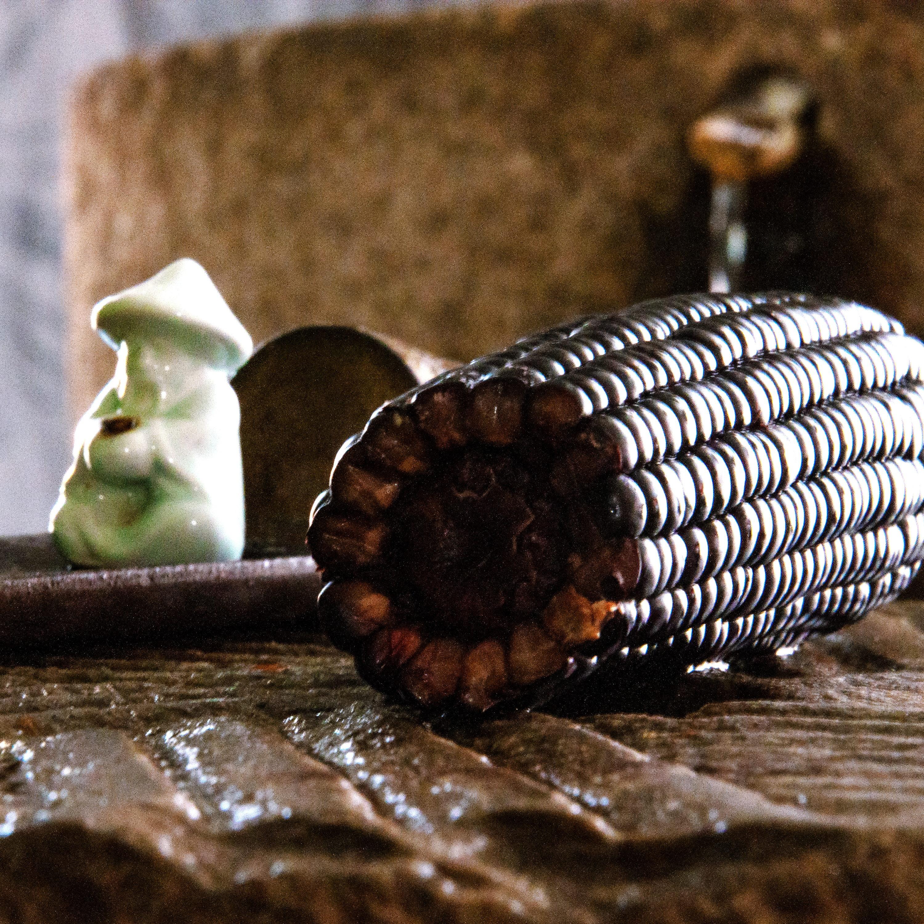 10根东北黑糯玉米新鲜现摘