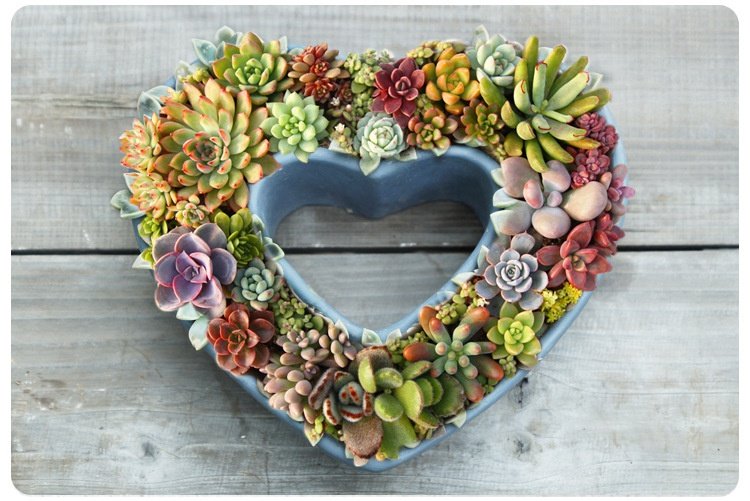 花盆心型创意意多简约大心心形植物爱心水泥花盆