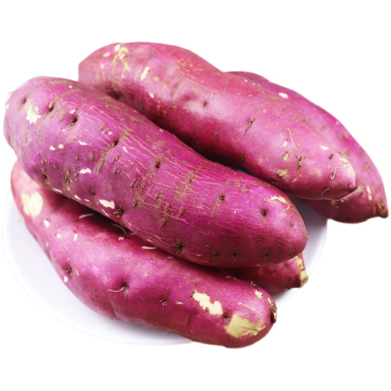 东北地瓜白心红薯新鲜沙土土地农产品面甜番薯番薯