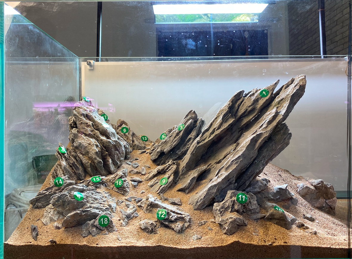 造景艾伦水草草缸石景擎天骨架设计青龙造景