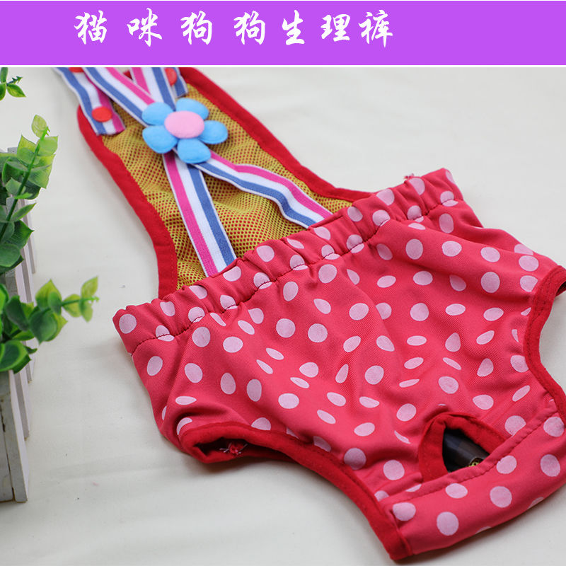 宠物狗生理泰迪例假用品公主母狗内裤生理裤
