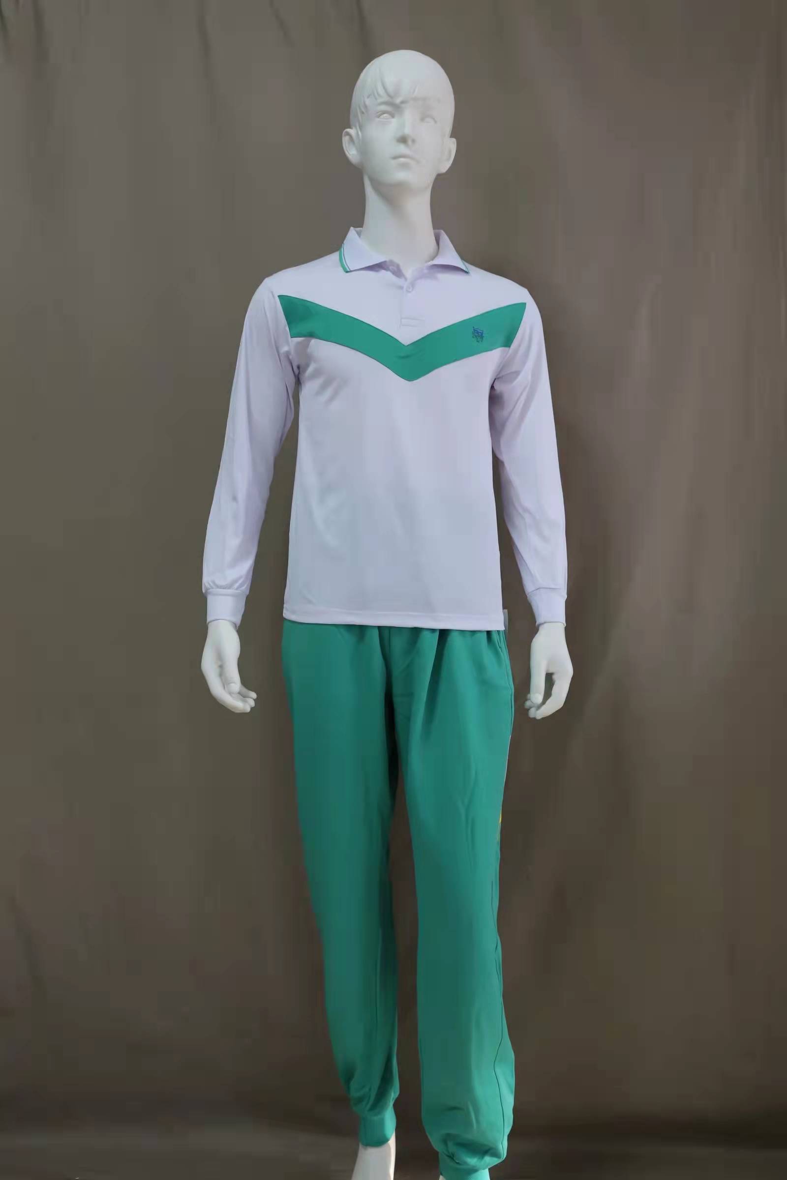 南武短袖正品棉衣套装礼服中学夏短袖运动服女学生学生校服