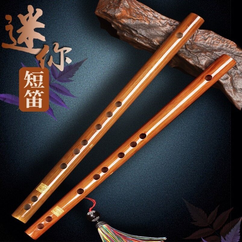 短笛迷你初学便携横笛防裂乐器迷你乐笛子易学笛子
