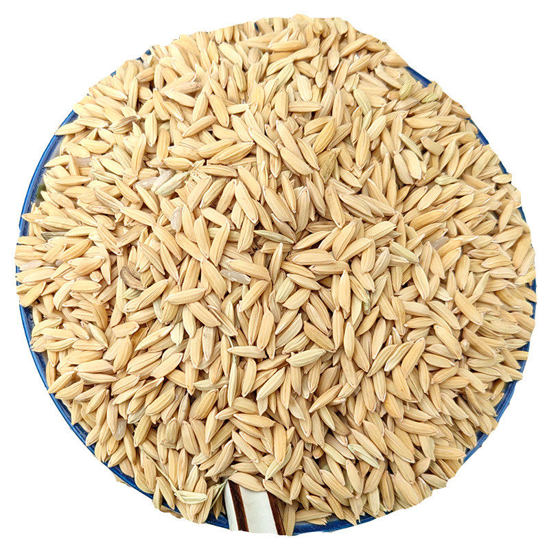 稻谷带壳喂鸡大米稻子谷子粮食喂鸭鹅鸽宠物饲料原料
