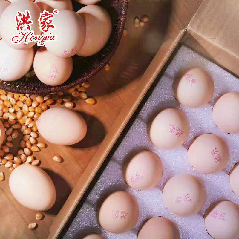 谷物大连洪家鸡蛋新鲜饲养抗生素激素顺丰包邮鸡蛋