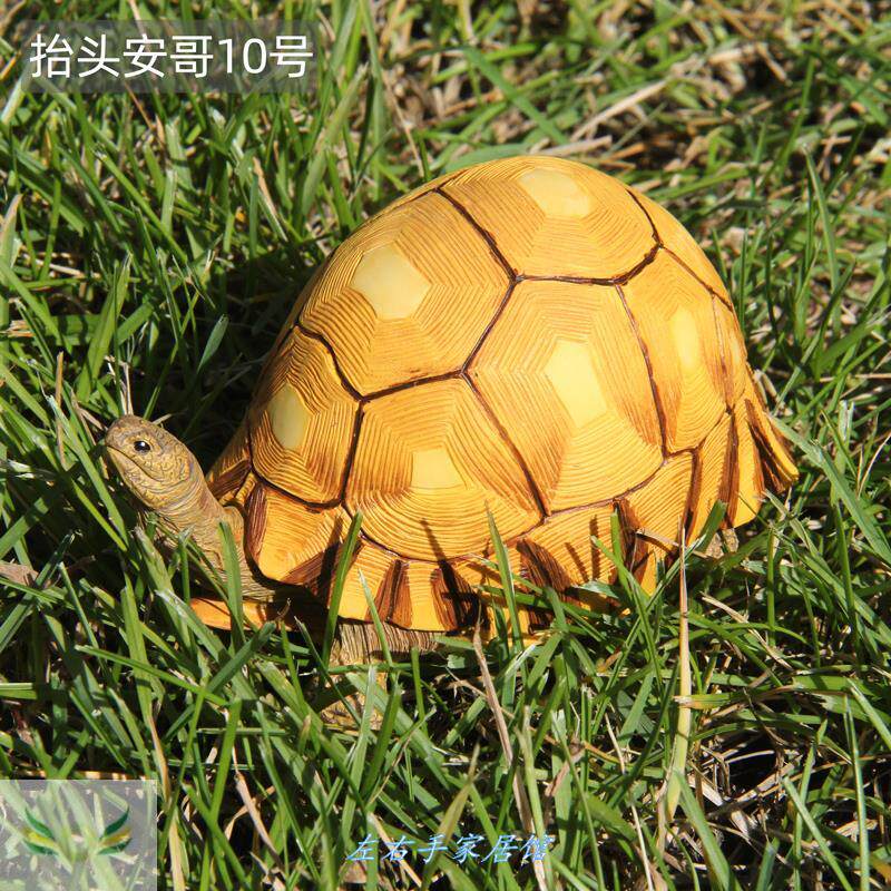 陆龟模型亚达辐射黄缘真汽车客厅家具办公室桌面装饰龟
