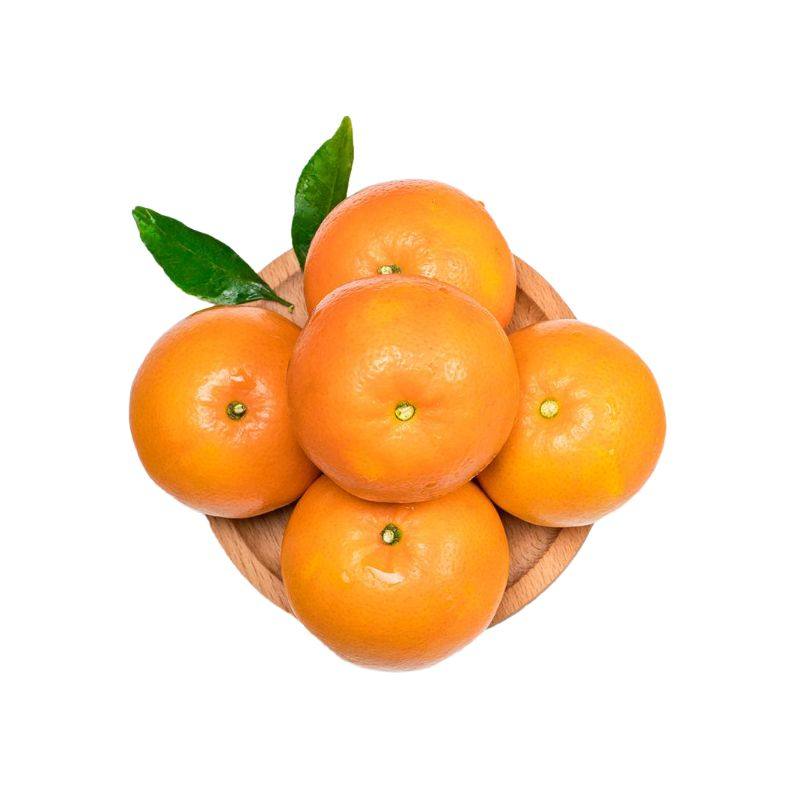 重庆杂柑新鲜水果5斤晚熟类柑橘土沃柑当季砂糖桔子整箱包邮-喜鹊屋