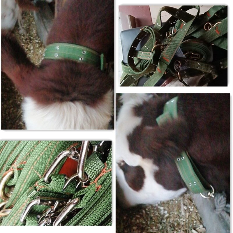 套栓养牛笼头头牛圈套牛脖加粗场套牵项栓颈圈畜牧