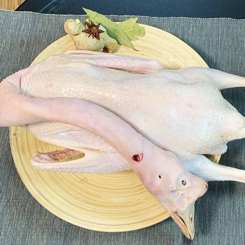 农家养老鹅笨鹅整只土鹅狮头鹅现鹅肉大白白鹅鹅肉