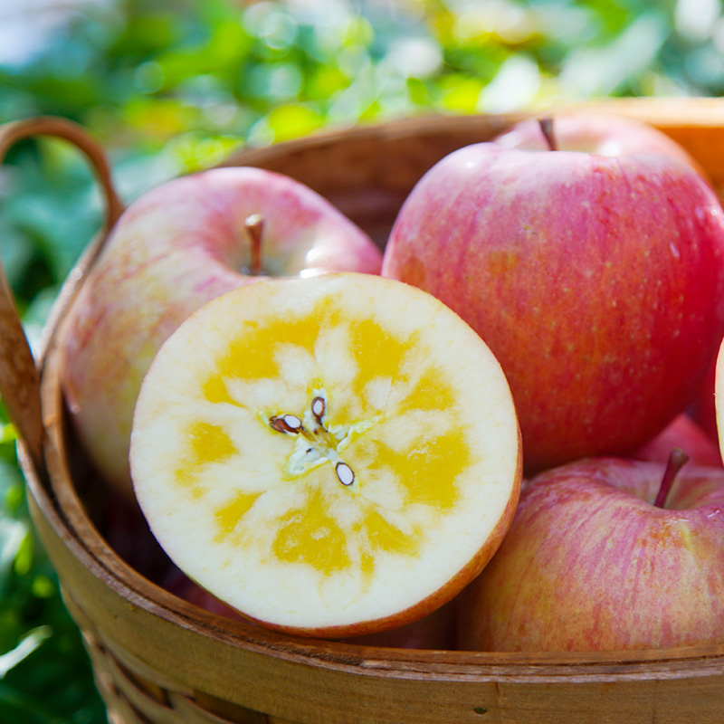 阿克苏冰糖糖心苹果新疆直邮礼盒8斤装小甜心果苹果