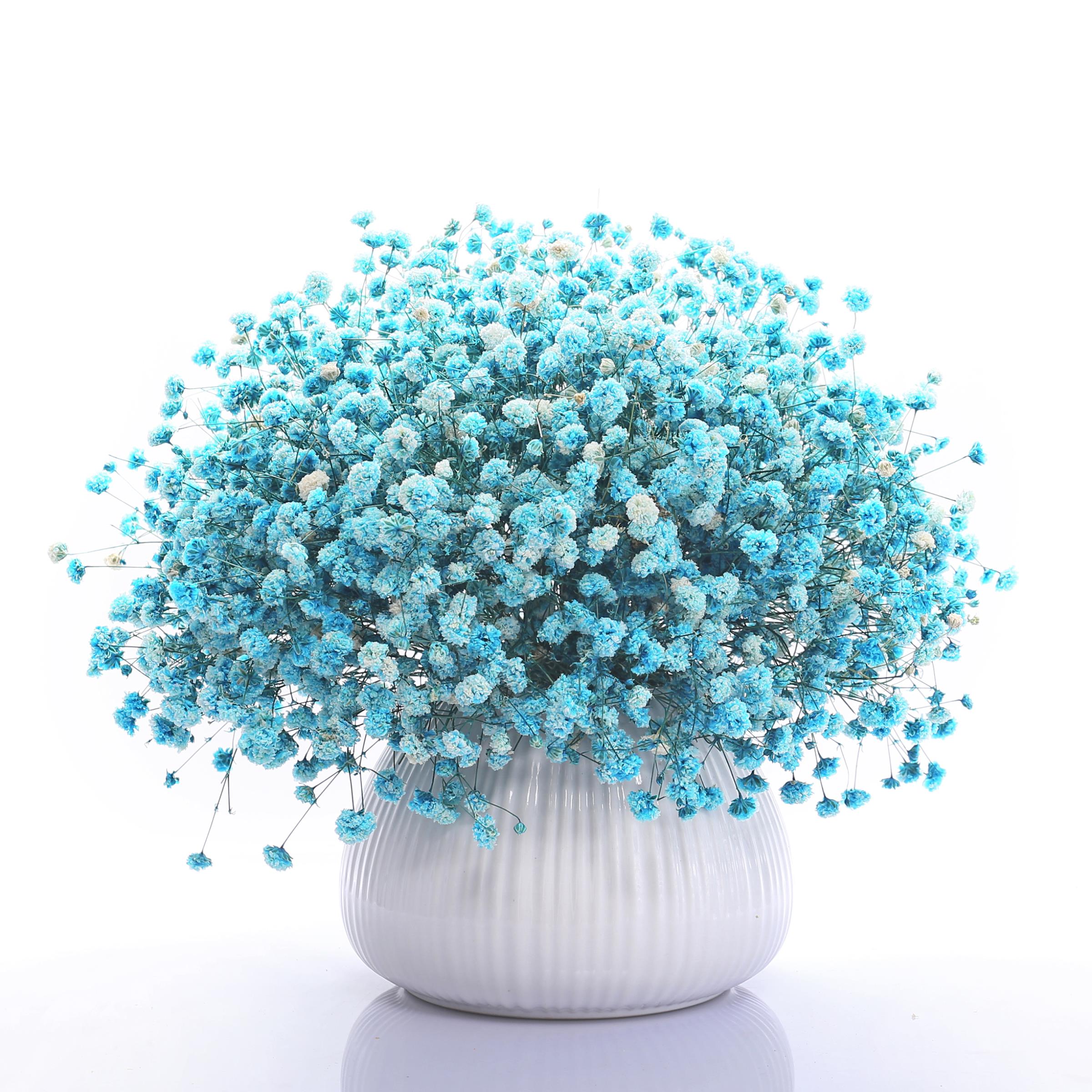 干花花束满天星装饰摆件家居客厅摆设大束自然干花