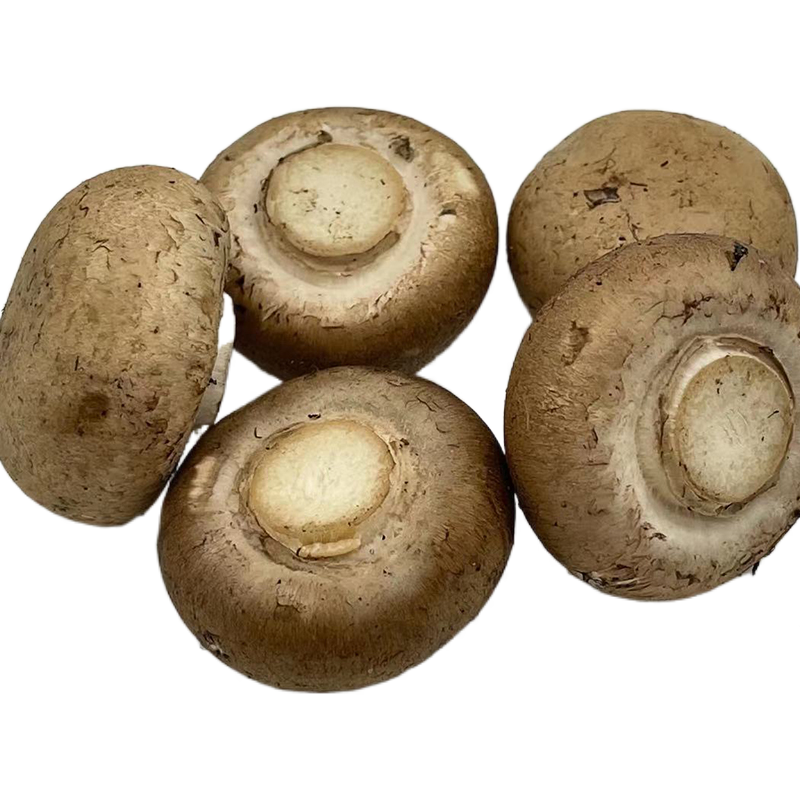 新鲜褐菇牛排珍宝波多黎咖啡咖啡啡菇香啡大菇新鲜松茸