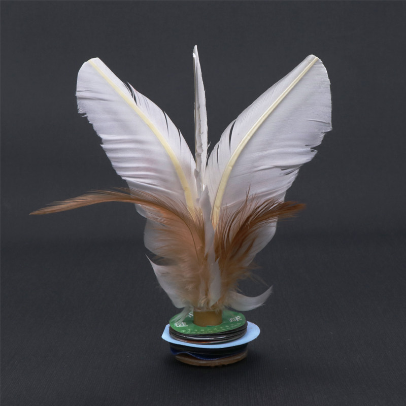 耐专儿本赛踢球毛比健人学身鹅花动生小鸡毽子毽子