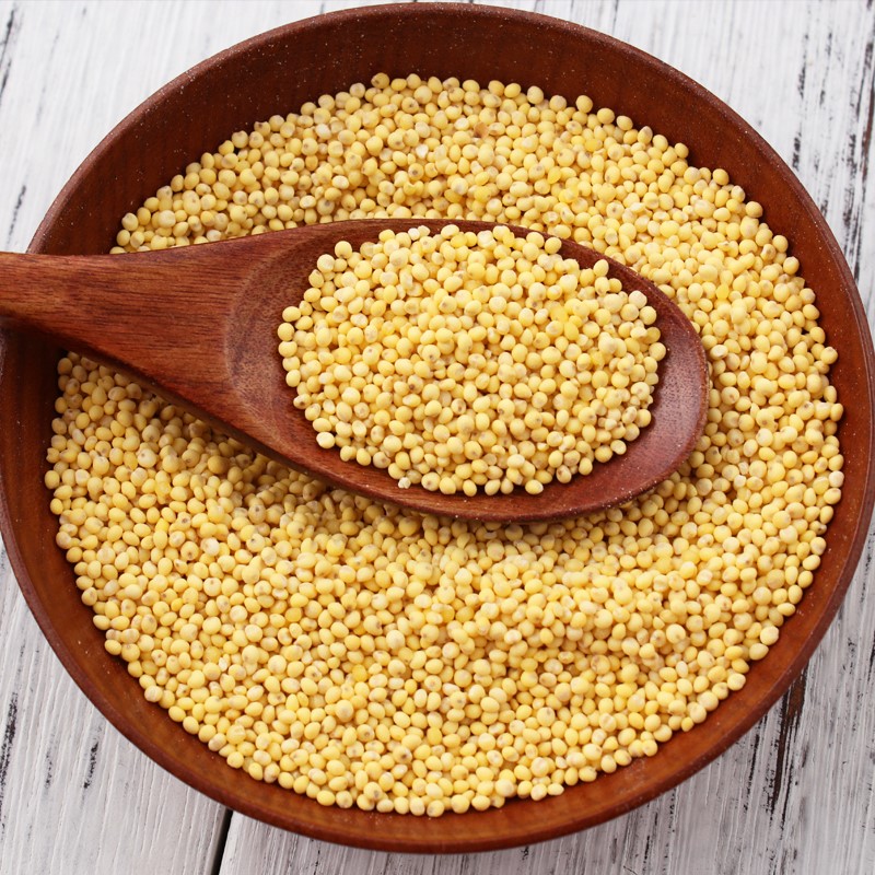 山西大黄米黏小米黍米粘米包粽子专用年糕农家糯米