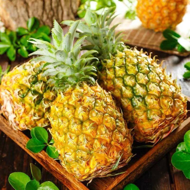 海南新鲜水果金钻小凤梨包邮9香水小菠萝应当季手撕大甜波萝整箱