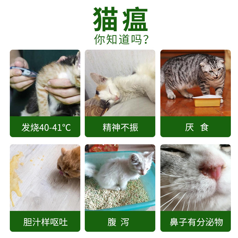 唯卓猫瘟试纸venture细小病毒fpv猫咪白细胞减少试纸