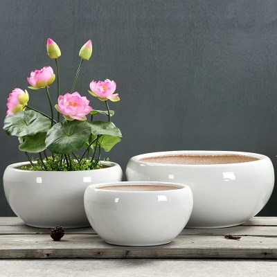 北欧简约大口径白色陶瓷矮胖款可水培种多肉口径40厘米花盆