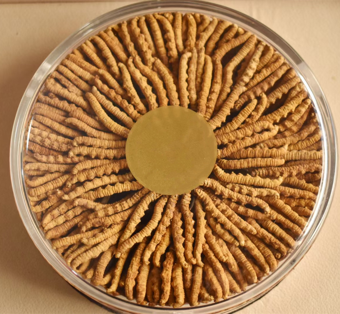 100根装野生冬虫夏草20克100根西藏那曲虫草5条小头冬虫夏草