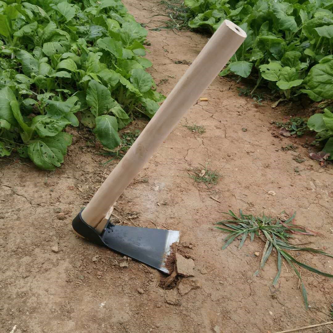 木柄锰钢小锄头园艺种花工具除草耙子f户外种菜挖笋园林加重农用