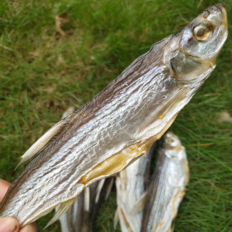 特产小鱼干干干货农家自晒翘嘴鱼干淡水河鱼鱼干