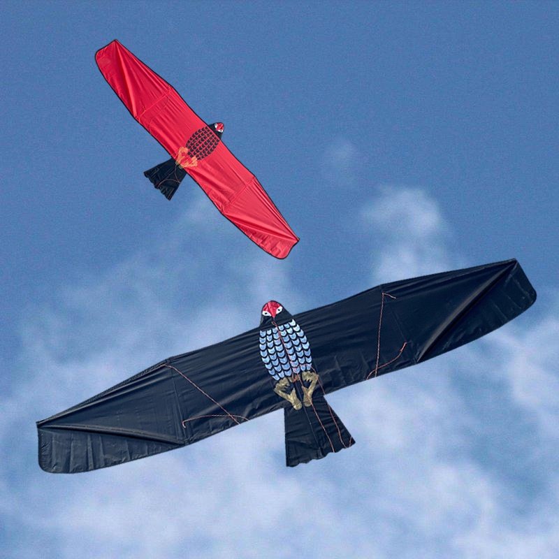 风筝新款高档板专用大人档板碳杆抗风老鹰布老鹰风筝