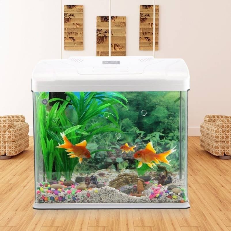 鱼缸小型超市水产海鲜循环客厅换水水龟草龟桌面缸