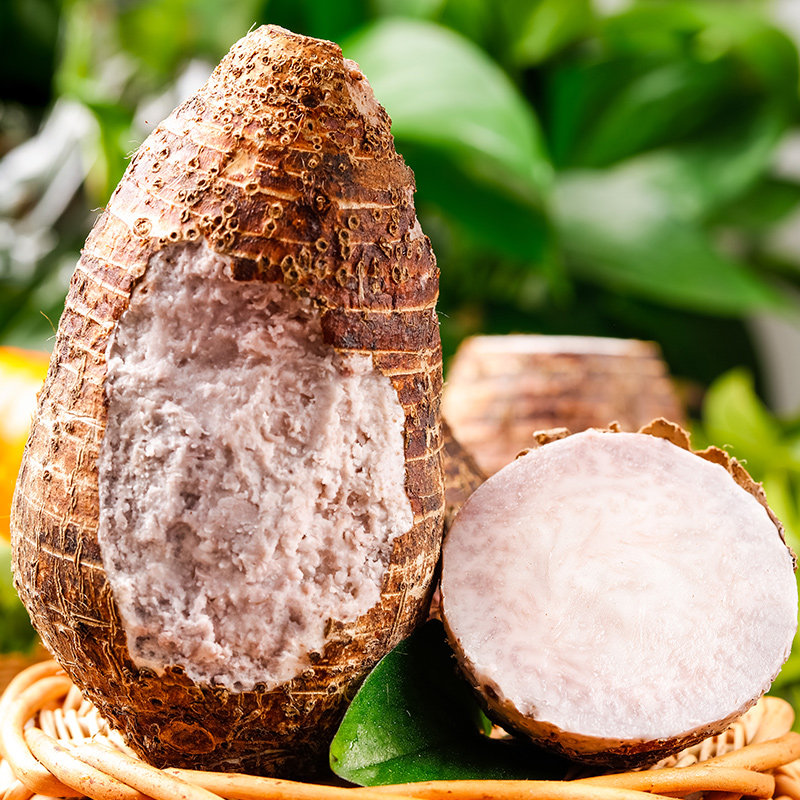 广西正宗艿包粉芋香芋现挖荔浦槟榔时蔬当季芋头