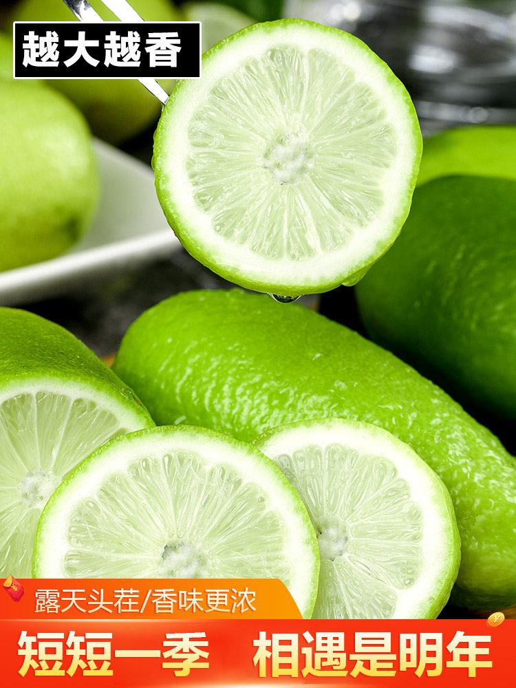 薄皮无籽青柠檬5斤新鲜水果小青青柠香水无子柠檬