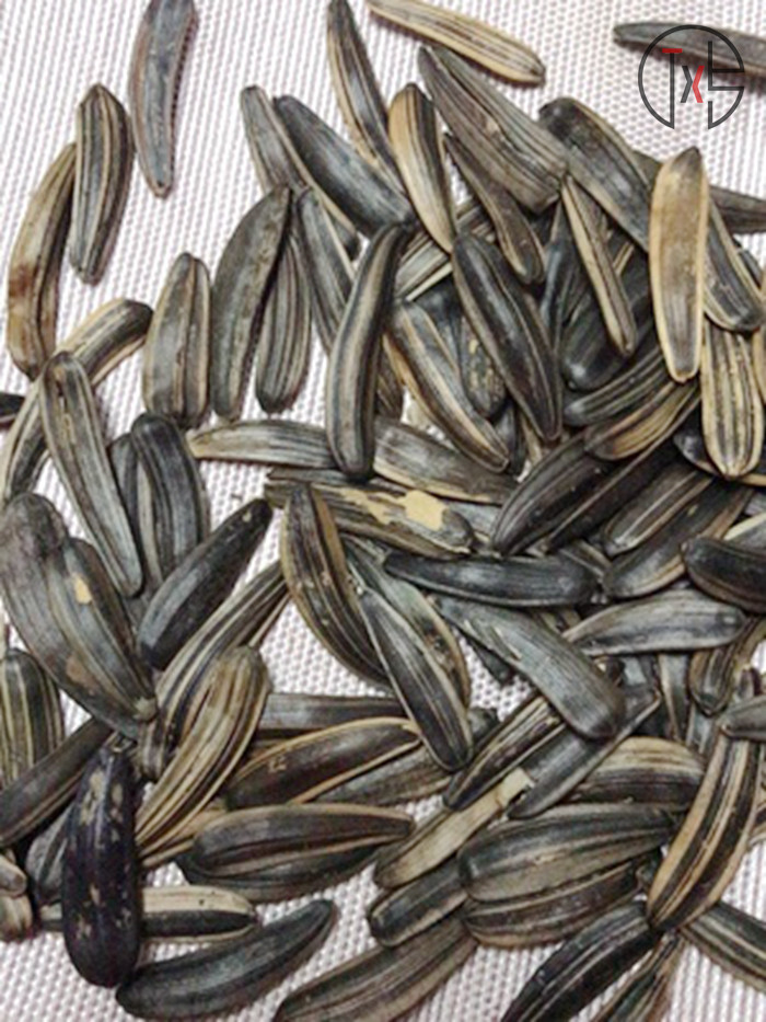 憨豆熊黑狼狼牙瓜子500g原味五香月牙牙签瓜籽瓜子