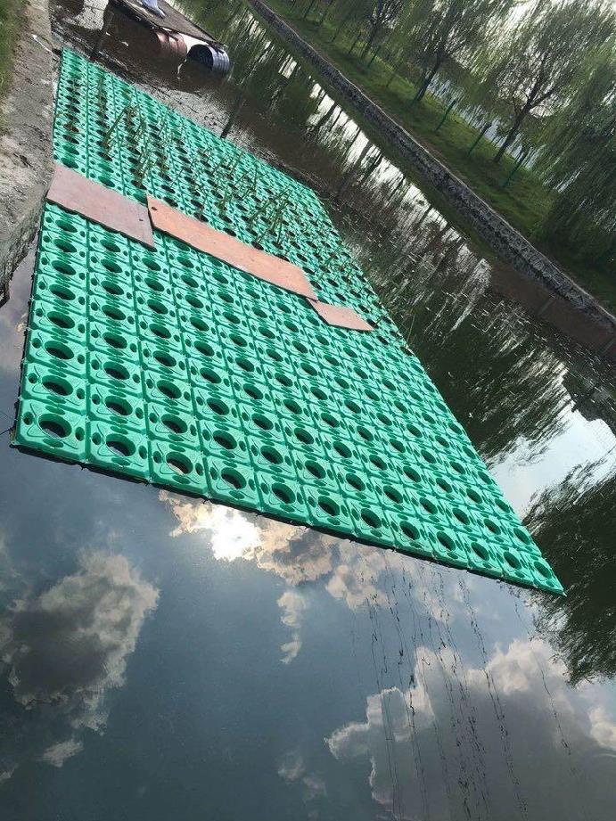 生态浮岛植物净化水质人造水面景观水上植物水培湖面浮板我要买