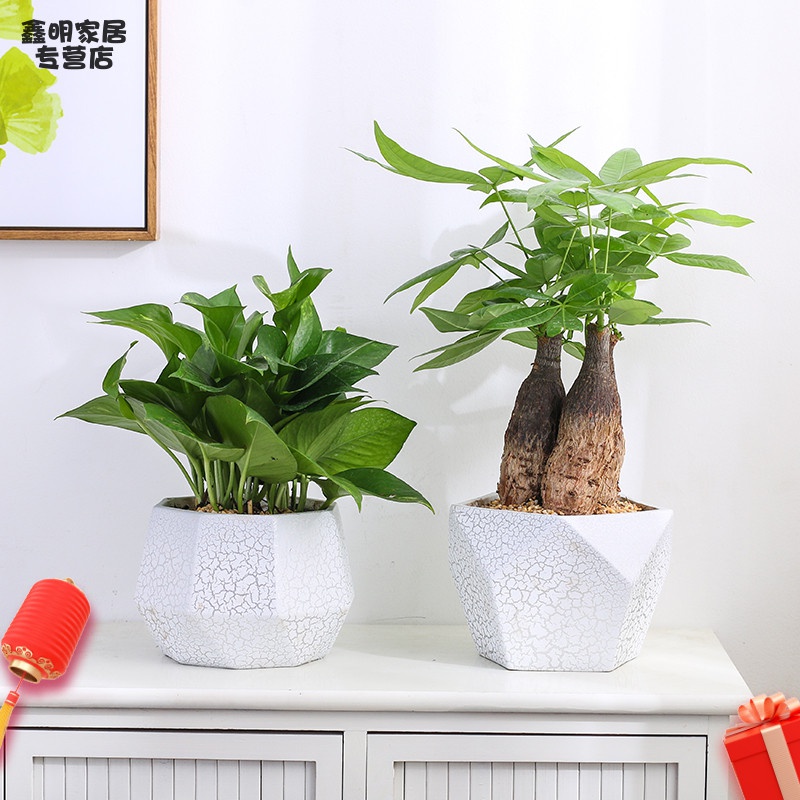 发财树花盆家用客厅陶瓷大号口径超特特大号加厚花盆