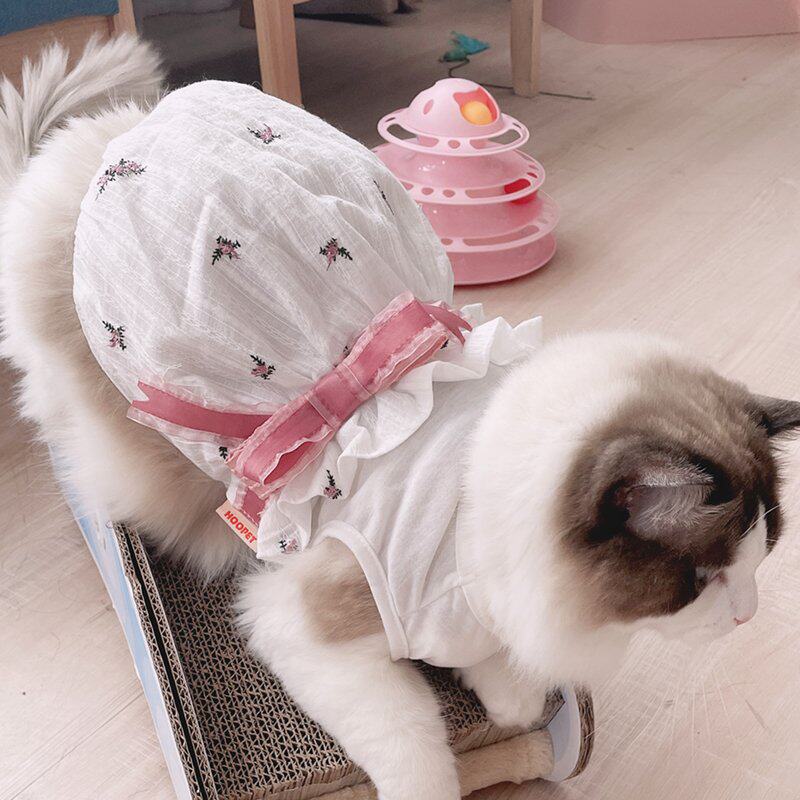 两个月比斯jk四脚可爱猫咪款毛宠物衣服银掉宠物服装