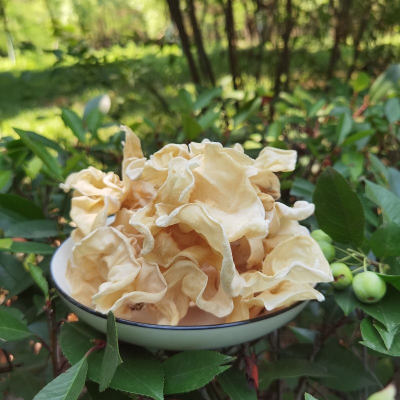 木耳优质白木耳特色银耳包邮野生白竹耳500g兔耳银耳