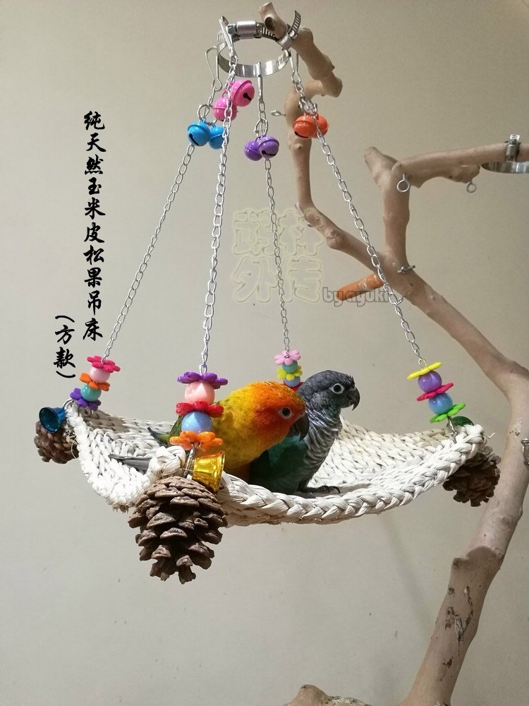 店主推荐小太阳牡丹虎皮鹦鹉啃咬玩具玉米米皮秋千