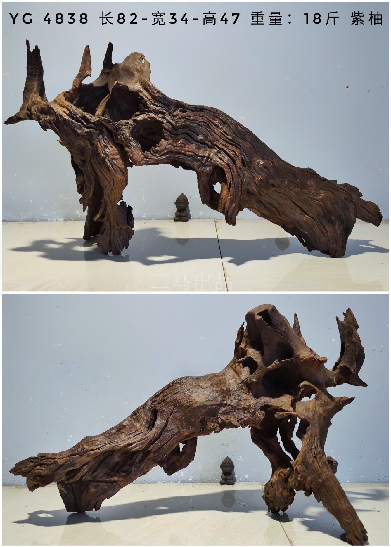 新品二马81-100cm拱桥桥型沉木树桩大号大型天然造景