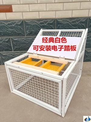 鸽子子信鸽跳鸽子笼门舍鸽笼碰自动门门门撞活络捕放飞抓工具