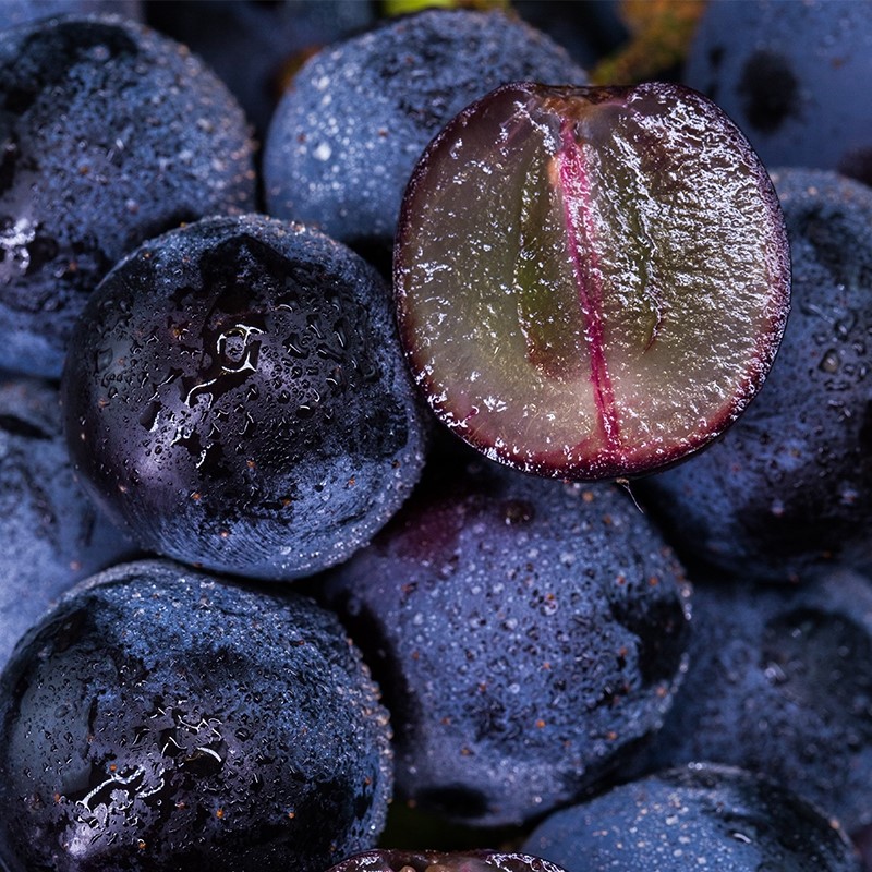 提子葡萄新款东北北镇巨峰整箱5斤非夏黑水葡萄