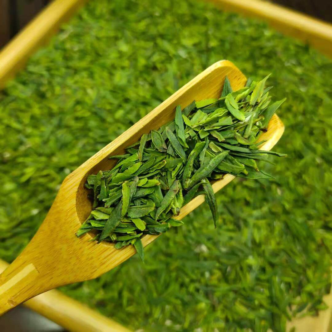 2021年新茶雀舌茶片明前特级绿茶龙井碎茶叶蒙顶山茶峨眉山500g