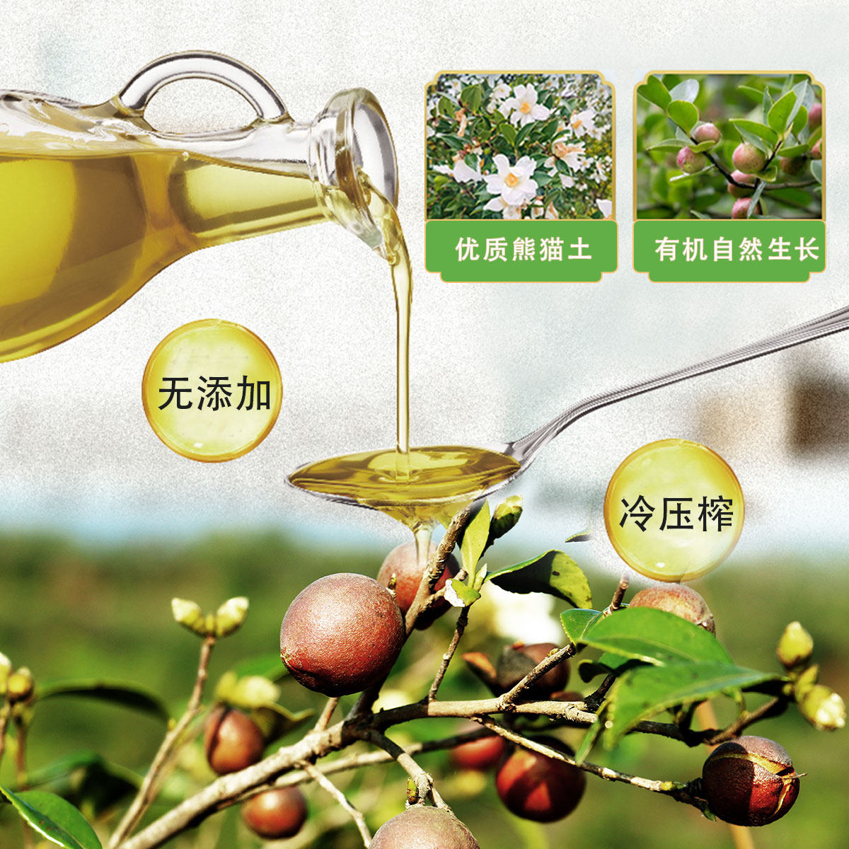 茶花夕拾冷榨纯山茶油1l2罐套装山茶油