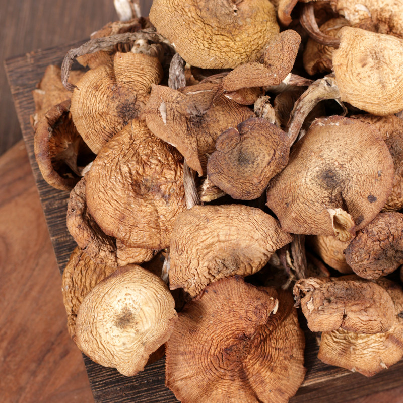 东北榛蘑干货野生特级500g长白山特产小鸡蘑菇香菇类