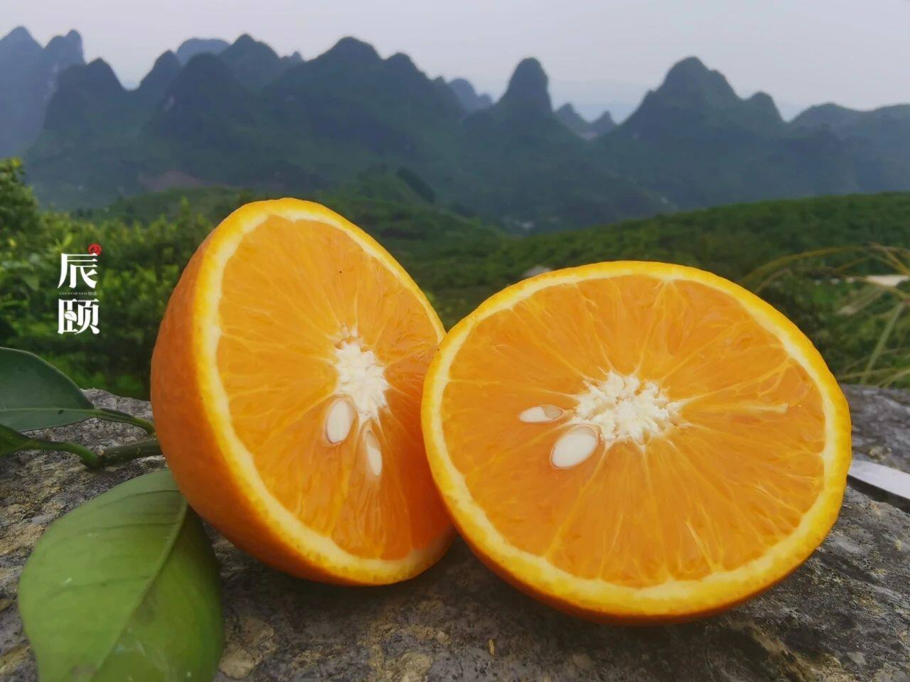 辰颐物语新鲜广西桂林夏橙5斤现摘应季水果橙