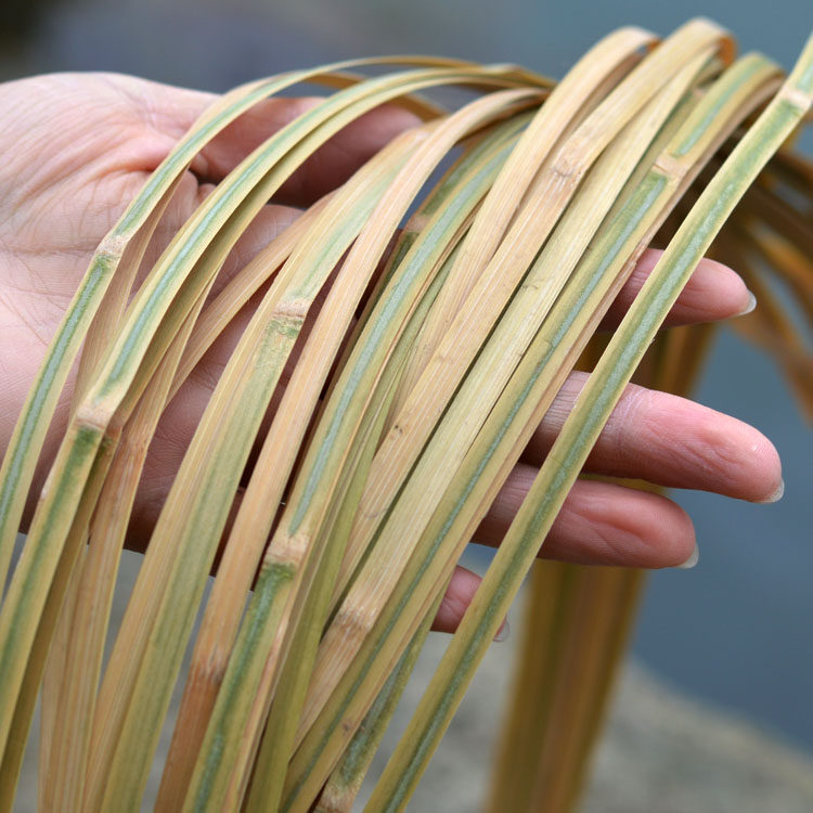 丝竹竹制品风筝园艺园艺学学生竹篾diy骨架作业竹编