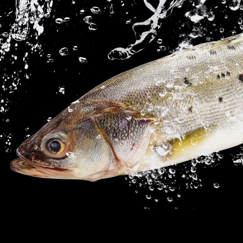 鲈鱼深海海鲜淡水鱼3条装现杀开生鲜水产新鲜海淡水鱼类