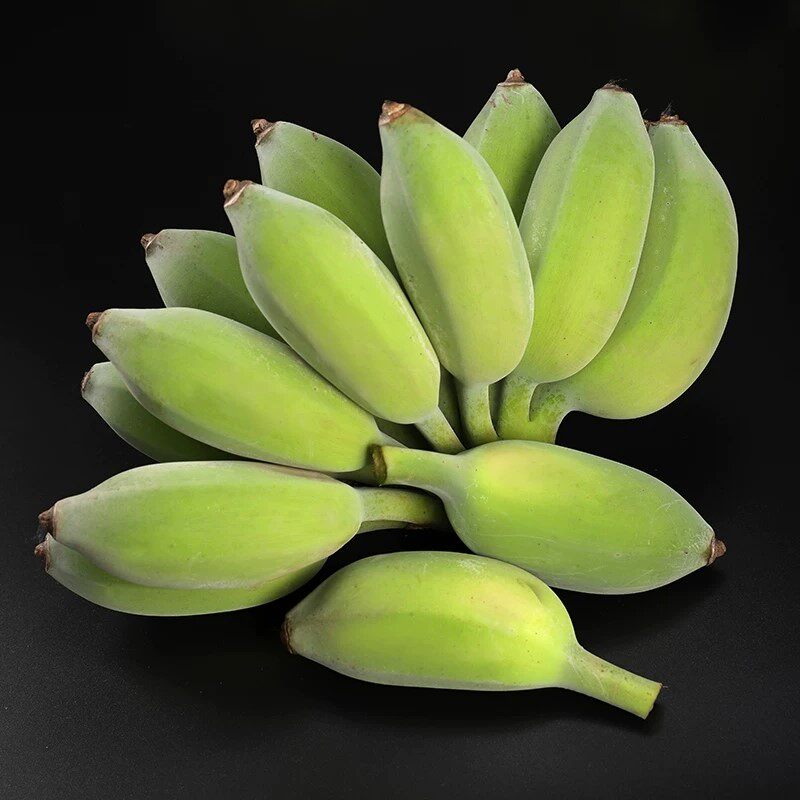 福建土楼苹果米蕉5斤无催熟新鲜当季圆香蕉非小米蕉自然熟粉蕉