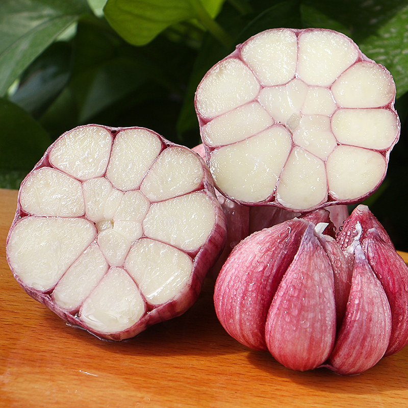 新鲜现挖紫皮10斤大蒜头鲜蒜农家新鲜蔬菜多瓣湿蒜头非独头蒜糖醋